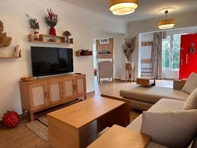 Villa Atlas Muhafazakar Havuzlu, Mustakil Genis Bahceli Sapanca Exterior foto